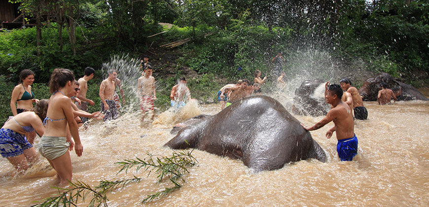 3 DAYS 2 NIGHTS TREK MUANG KONG CHIANG DAO